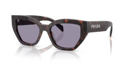 Prada PR A09S - 17N03N ROOT TORTOISE grey