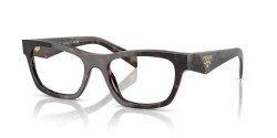 Prada PR B01V - 17N1O1 ROOT TORTOISE