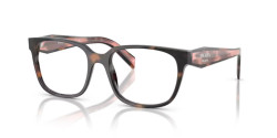 Prada PR 17ZV - 23A1O1 MAUVE TORTOISE