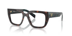 Prada PR A03V - 18Z1O1 ROOT TORTOISE