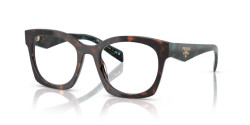 Prada PR A05V - 18Z1O1 ROOT TORTOISE