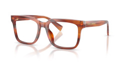 Dolce&Gabbana DG 3422 - 3221 STRIPED GINGER