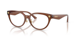 Versace VE  3370D - 5508 BROWN TRANSPARENT