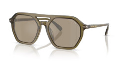 Michael Kors MK 2251U JACKSON HOLE - 40127I OLIVE TRANSPARENT olive mirror