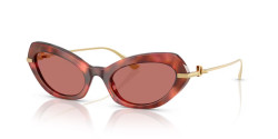 Dolce&Gabbana DG 4473 - 344469 HAVANA BROWN dark violet