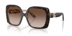 Dolce&Gabbana DG 4475 - 321713 HAVANA ON WHITE BARROW brown gradient