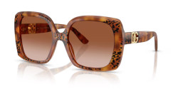 Dolce&Gabbana DG 4475 - 338013 HAVANA LEO brown gradient