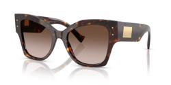 Dolce&Gabbana DG 4478 - 502/13 HAVANA gradient brown