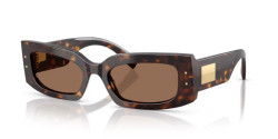 Dolce&Gabbana DG 4479 - 502/73 HAVANA dark brown