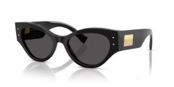 Dolce&Gabbana 4480 - 501/87 BLACK dark grey