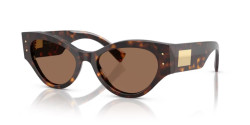 Dolce&Gabbana 4480 - 502/73 HAVANA dark brown