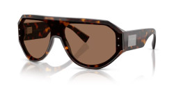 Dolce&Gabbana DG 4481 - 502/73 HAVANA dark brown