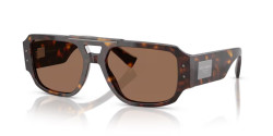 Dolce&Gabbana DG 4482 - 502/73 HAVANA dark brown