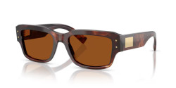 Dolce&Gabbana DG 4483 - 322273 DARK RED HAVANA dark brown