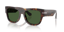 Dolce&Gabbana DG 4484 - 502/71 HAVANA dark green