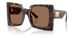 Dolce&Gabbana DG 4490 - 502/73 HAVANA dark brown