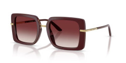 Dolce&Gabbana DG 4491 - 30918H BORDEAUX clear gradient dark brandy