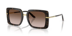 Dolce&Gabbana DG 4491 - 321713 HAVANA ON WHITE BARROW brown gradient