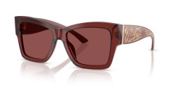 Dolce&Gabbana DG 4493 - 304575 TRANSPARENT BORDEAUX dark violet