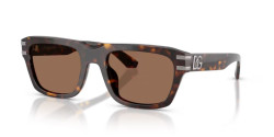 Dolce&Gabbana DG 4496 - 502/73 HAVANA dark brown