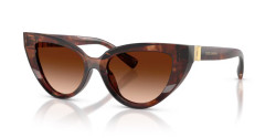 Dolce&Gabbana DG 4497 - 322274 DARK HAVANA brown gradient