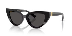 Dolce&Gabbana DG 4497 - 501/87 BLACK dark grey