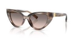 Dolce&Gabbana DG 4497 - 34493B STRIPED GREY pink gradient grey