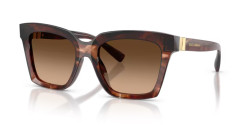 Dolce&Gabbana DG 4498 - 322274 DARK RED HAVANA brown gradient