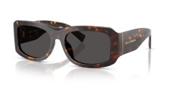 Dolce&Gabbana DG 4503 - 502/87 HAVANA dark grey