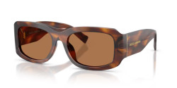 Dolce&Gabbana DG 4503 - 306373 STRIPED BROWN bronze