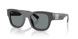 Dolce&Gabbana DG 4509 - 3090/1 GREY grey
