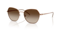 Emporio Armani EA 2161 - 340013 MATTE TUNDRA brown gradient