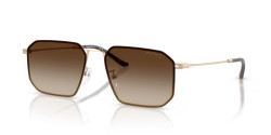 Emporio Armani EA 2165D - 300213 MATTE PALE GOLD gradient brown
