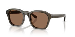 Emporio Armani EA 4245U - 624973 SHINY TRANSPARENT GREY dark brown