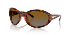Vogue VO 5606 - W656T5 DARK HAVANA gradient brown polarized