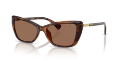 Ralph RA 5332U - 614973 SHINY DARK HAVANA brown