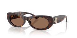 Jimmy Choo JC 5038BU - 500273 HAVANA dark brown