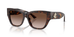 Jimmy Choo JC 5039BU - 500213 HAVANA gradient brown
