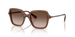 Swarovski SK 6040 - 106713 TRANSPARENT BROWN brown gradient