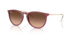 Ray Ban RB 4171 ERIKA - 6815A5 RUBBER VIOLET pink gradient brown
