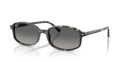 Ray-Ban RB 2232 - 133371 GREY HAVANA gradient grey