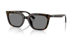 Ray-Ban RB 4439D - 710/87 HAVANA dark grey