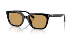 Ray-Ban RB 4439D - 901/73 BLACK ochre