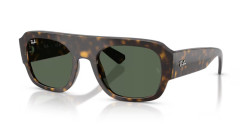 Ray-Ban RB 2218 - 679071 HAVANA green