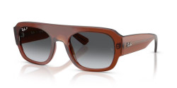 Ray-Ban RB 2218 - 6678T3 TRANSPARENT BROWN grey gradient polarized