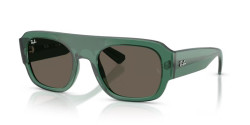 Ray-Ban RB 2218 - 6681/3 TRANSPARENT GREEN brown