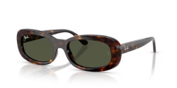 Ray-Ban RB 2221 - 902/31 HAVANA green