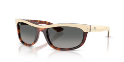 Ray-Ban RB 2489 BALORAMA - 144371 BEIGE HAVANA gradient grey