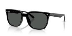 Ray-Ban RB 4466D - 601/87 BLACK dark grey