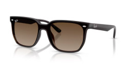 Ray-Ban RB 4466D - 714/13 TRANSPARENT DARK BROWN brown gradient